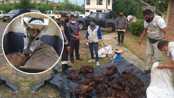 El consumo de carne silvestre es un delito en Ecuador