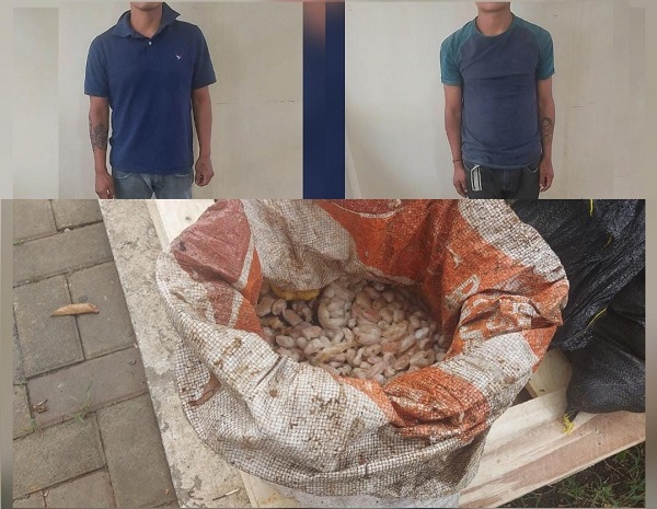 Dos detenidos por el robo de un saco de cacao en Quevedo
