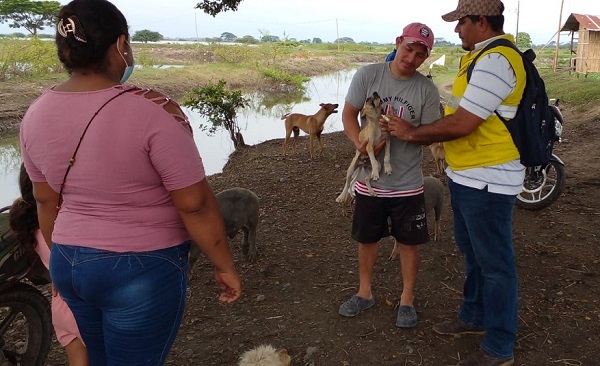 Babahoyo: Mascotas son atendidas a través de campañas veterinarias de la Prefectura de Los Ríos