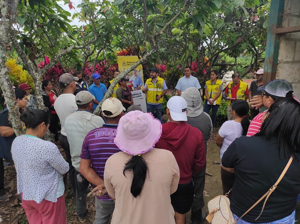 Prefectura de Los Ríos entrega plantas de cacao en Puebloviejo