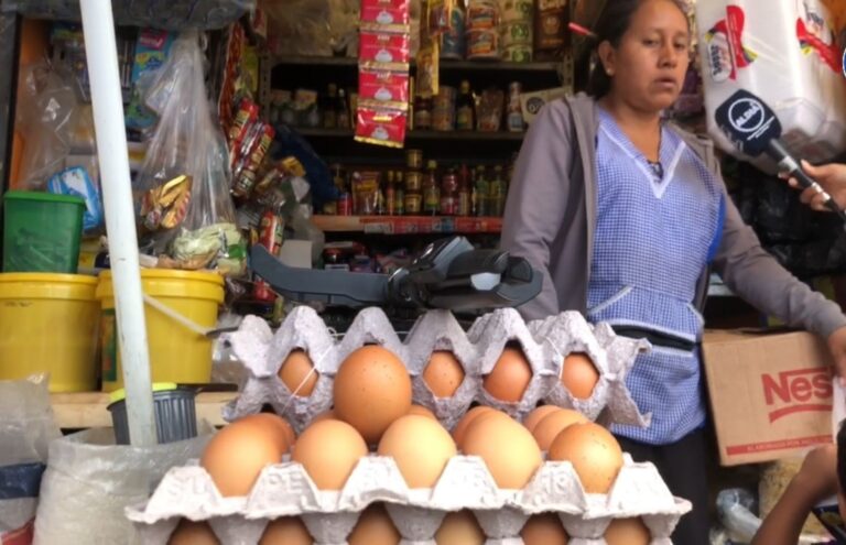 Preocupación por el alza de precio en los huevos y gallina
