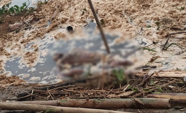 A orillas del río Quevedo hallan un cadáver en descomposición