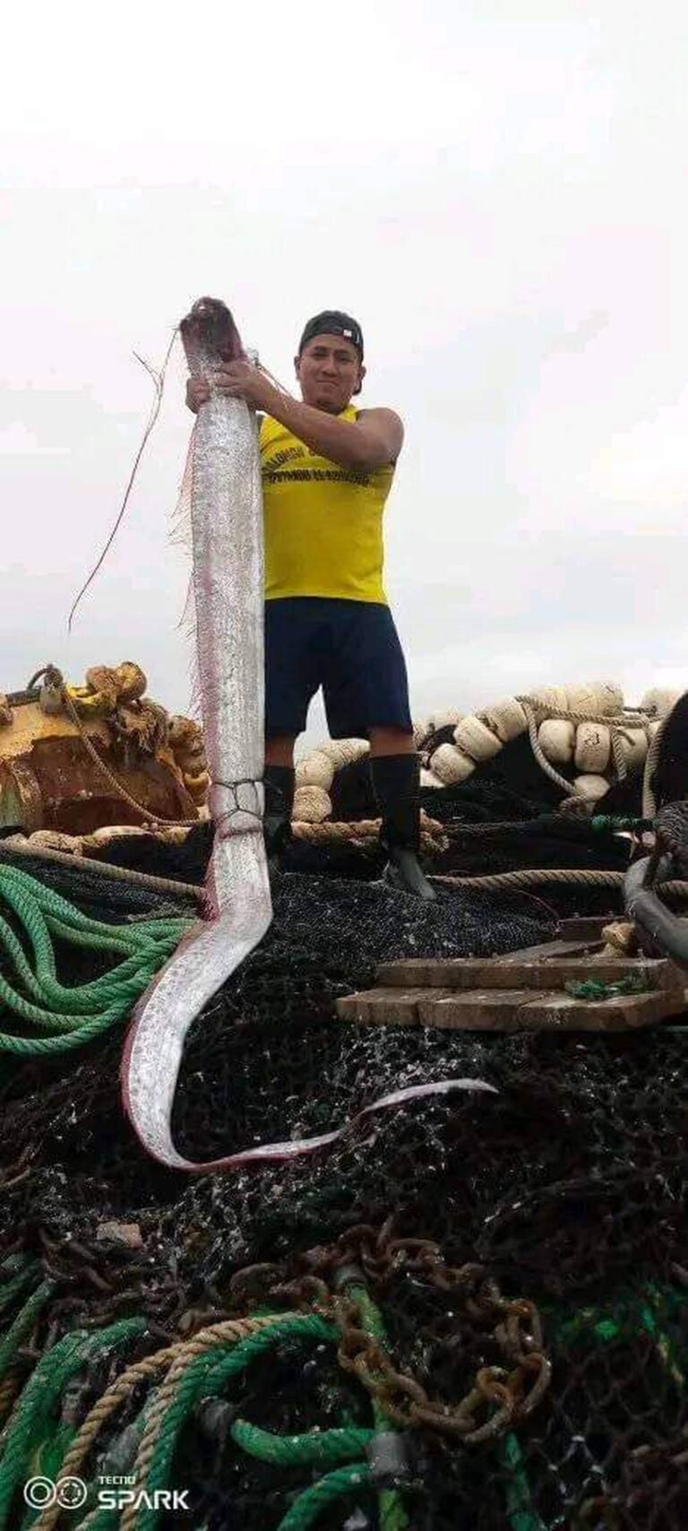 ¿Qué pasó con el pez remo capturado en Anconcito, Salinas?