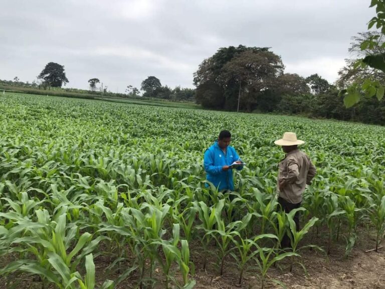 BanEcuador condona créditos vencidos a unos 26 mil ecuatorianos