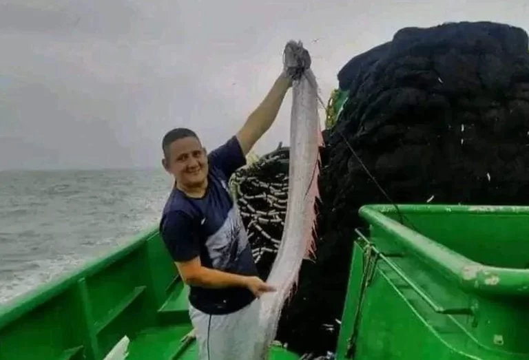 Posorja: Un nuevo pez remo fue hallado por pescadores