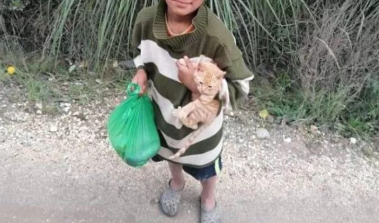 Niño que intentó vender su gato por USD 3 para estudiar y comer recibió una casa