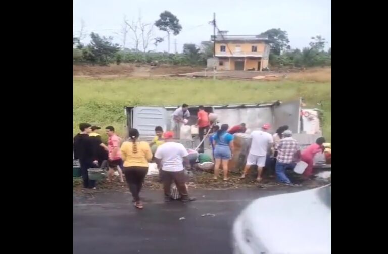 Los Ríos: Camión con camarones se accidentó y moradores aprovecharon para llevarse algunos