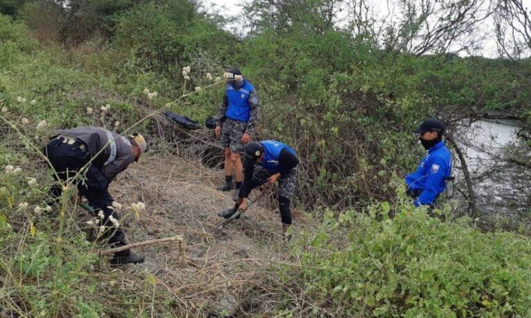 Policía descubre 6 cuerpos enterrados en una fosa común en una camaronera frente al Guasmo