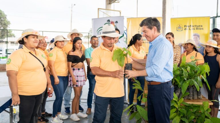 Urdaneta: Agricultores reciben 50 mil plantas de cacao por parte de la Prefectura de Los Ríos