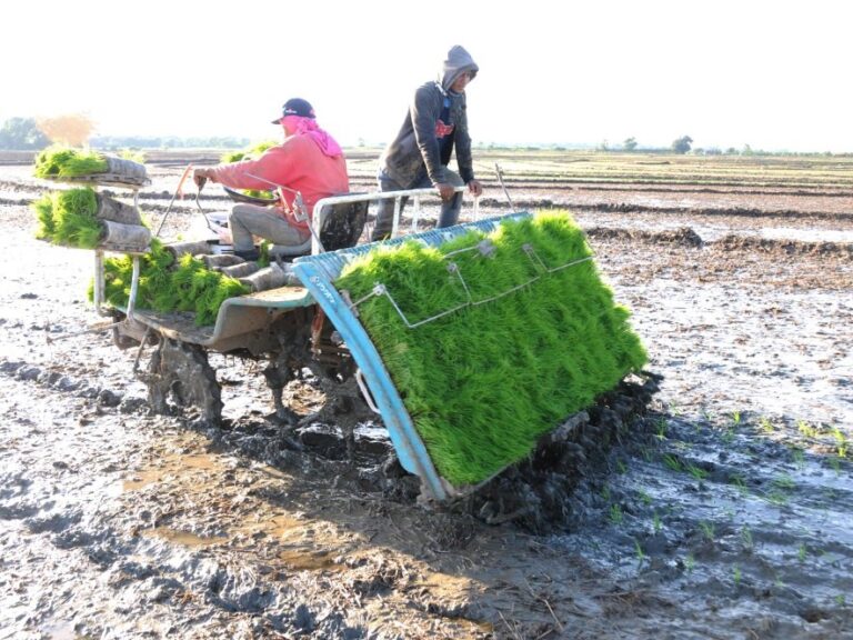 Babahoyo tendrá un moderno centro de investigación agrícola