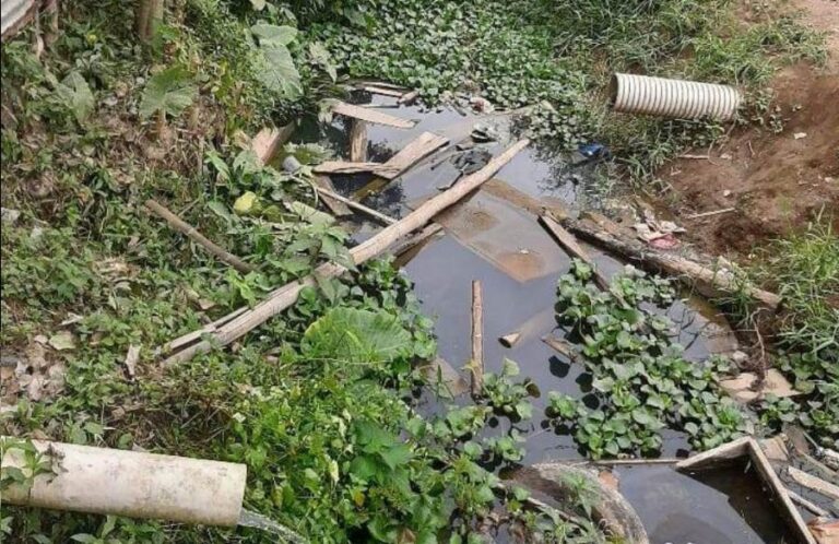 Vecinos del sector El Pantano ya no soportan vivir entre la insalubridad