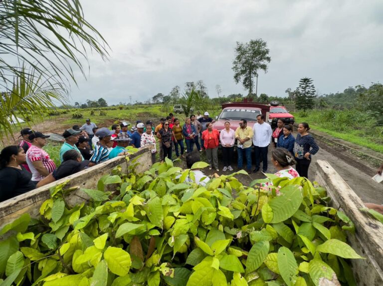 Asociación agrícola de Mocache se beneficia de la entrega de plantas de cacao
