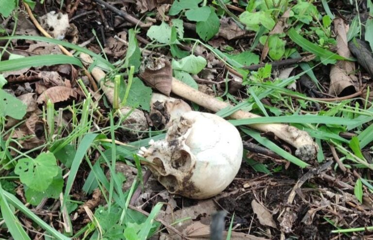 Agricultores encontraron restos óseos humanos en una hacienda de Mocache