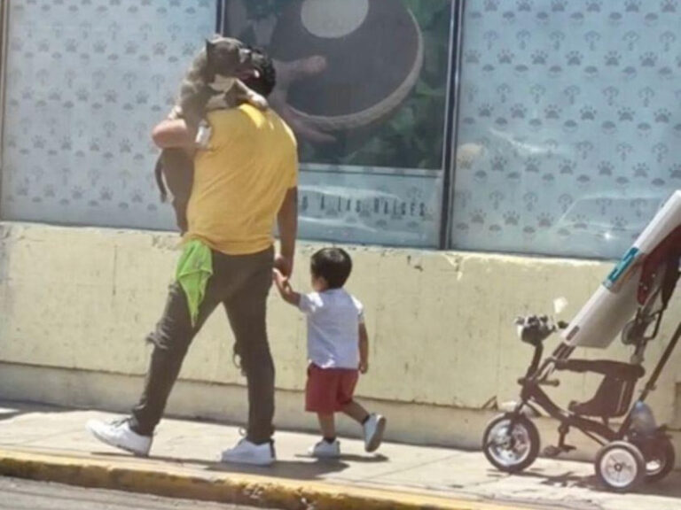 Polémica tras difusión de la imagen de un padre cargando a su perro mientras a su hijo lo lleva de la mano