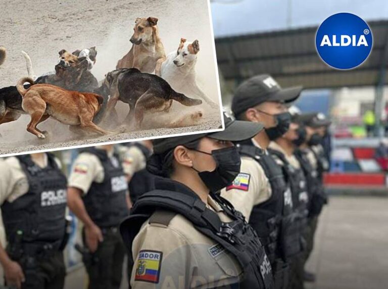 Quevedo: Policía fue atacada por una jauría de perros cuando iba a trabajar