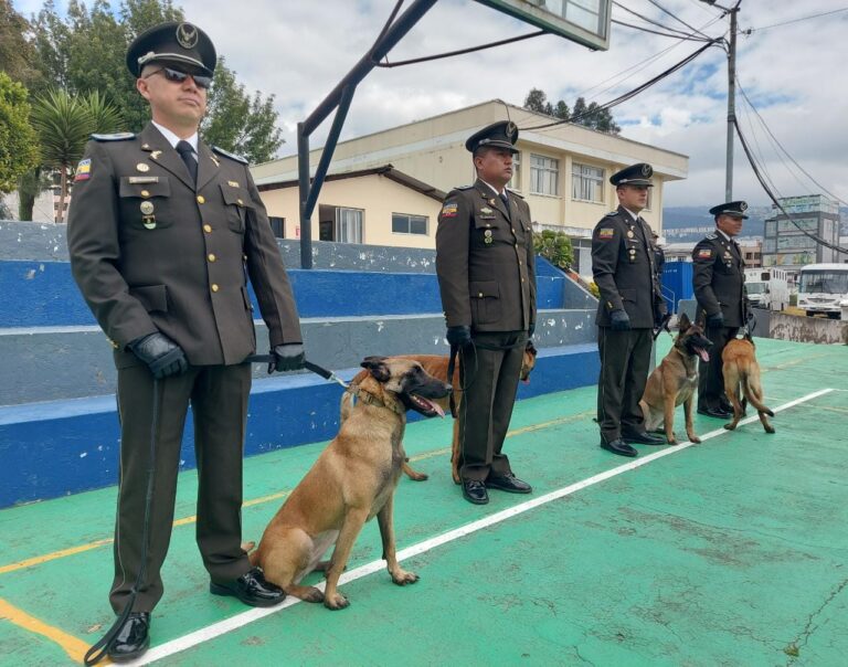 La Embajada de Francia dona cuatro canes a Ecuador para la lucha contra el crimen