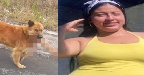Latacunga: El brazo encontrado por un can era de Génesis Martínez