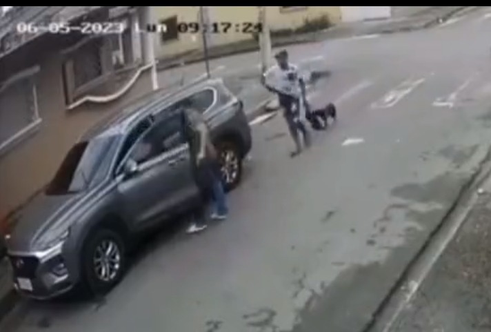 Guayaquil: Un pillo fingió pasear a un perro para robar 30 mil dólares
