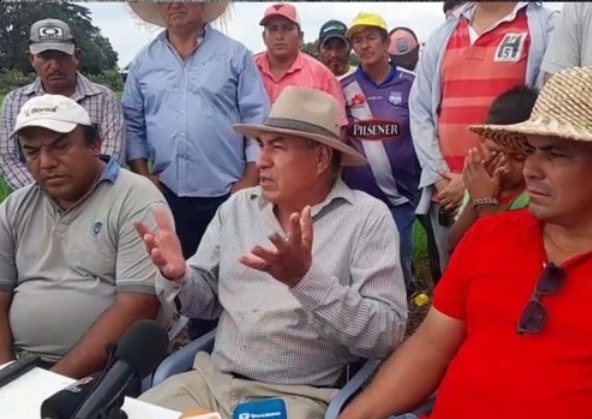 Los Ríos: Productores arroceros dicen que hay suficiente arroz para abastecer la demanda del país