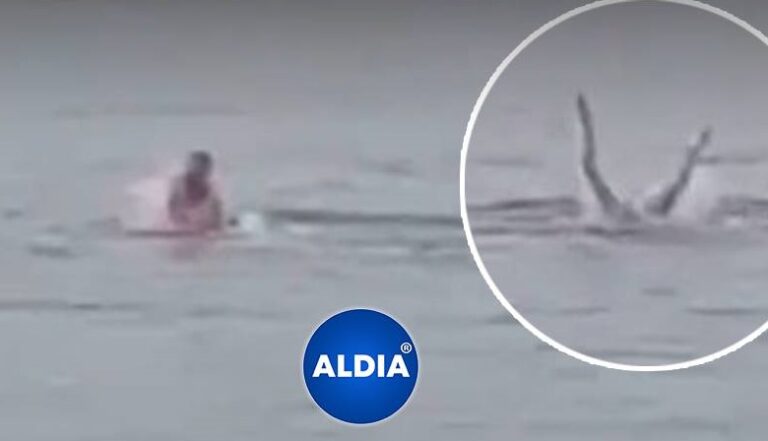 Un turista ruso se convirtió en la ‘cena’ de un enorme tiburón