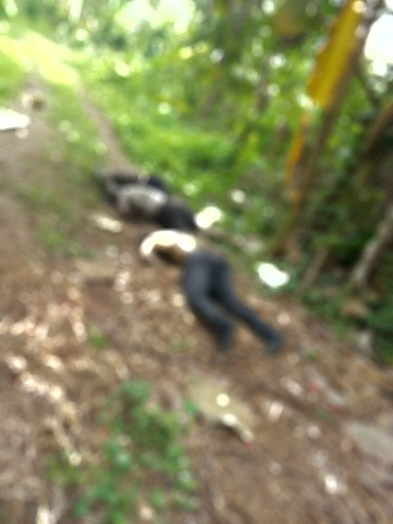 Tres cuerpos inidentificados y en descomposición aparecen en una guardarraya