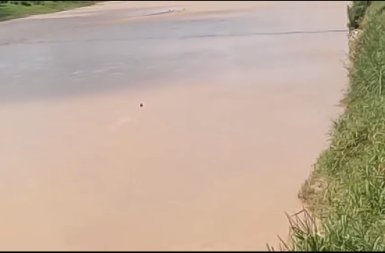 Presunto ‘pillo’ se lanzó al río en Quevedo para no ser aprehendido tras cometer un delito