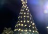 Mocache enciende su gran árbol y da inicio a una Navidad llena de magia